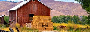 Baker County Picture