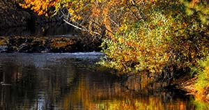 Baker County Picture